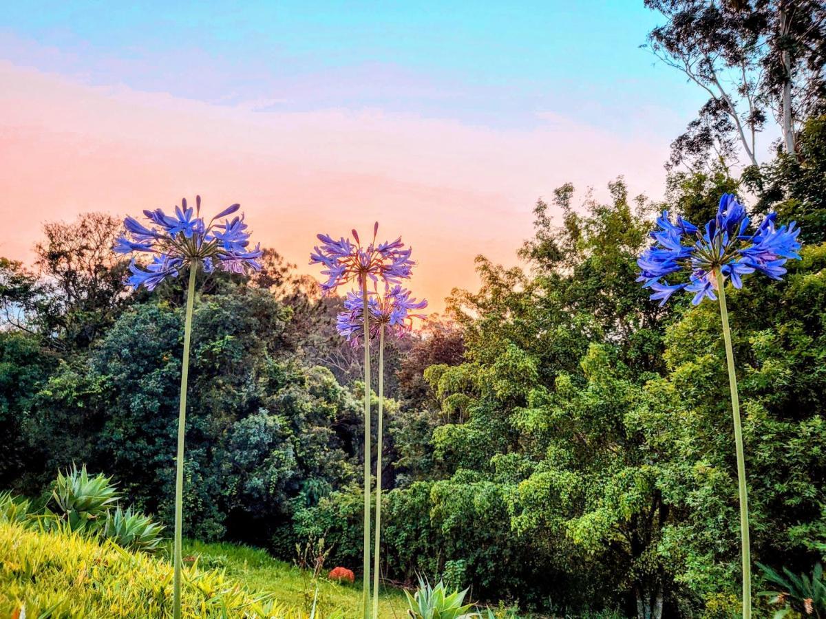 Pousada Dharma Luz E Paz Bragança Paulista Exteriör bild